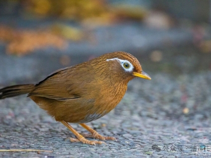 海安公安抓获3名嫌疑人！