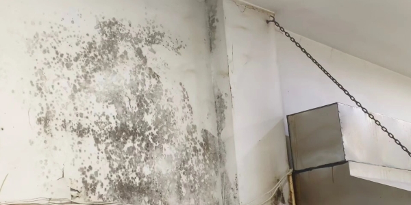 责令整改！海安这4家餐饮店