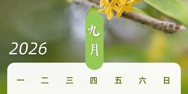 最新放假通知！