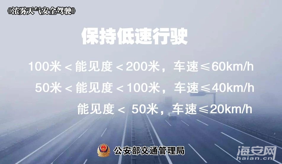 b51601a0c4fa74d4965a571ec920f84c.jpg