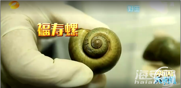 6呃呃40.jpg