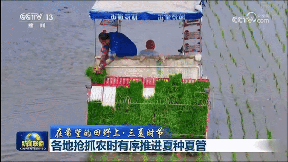005b3ac579cfba3e17da983b38d8216d.gif