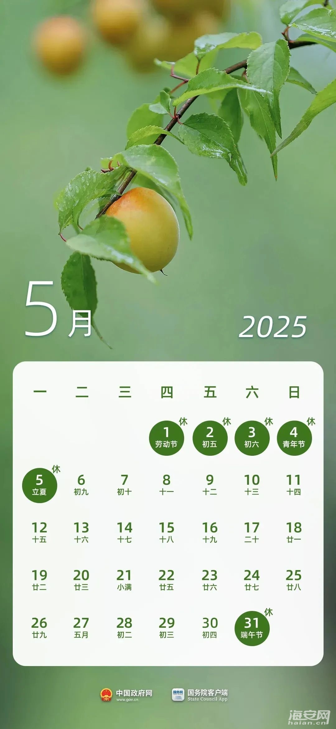 e305b7725a77cb2b8fe81f1cfbb31484.jpg