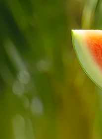 b615831f7f185e1a31769ab516a2beb7.png