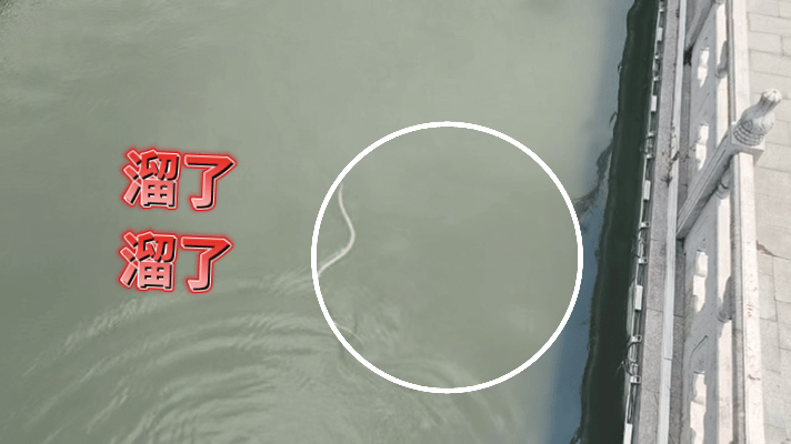fbce7c5f820aed8ae87ce32af41a88d8.gif