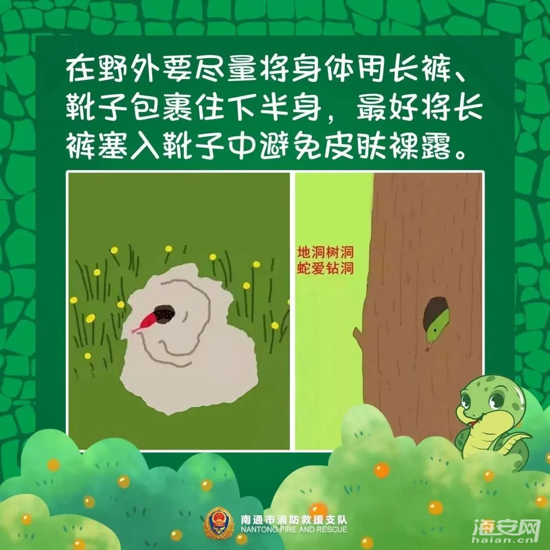 4b83b27e8f5eac8cd72163f6928785ae.jpg