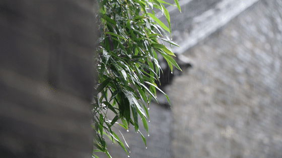 08288a3ceaca044c08e5e83f362b1383.gif