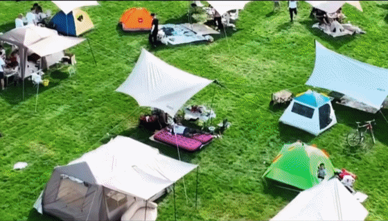 f859facab141db2ebe535b7c0674d6ac.gif